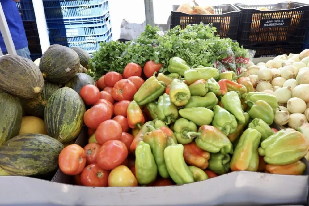 Prefeitura Presente promove doação de alimentos e leva serviços públicos ao distrito de Itamotinga